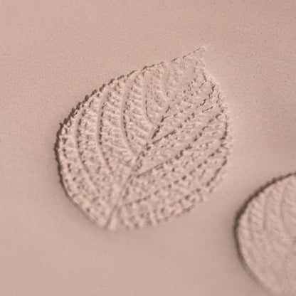 Generic Plant Leaf Stamp - Photo Textured - Style 1 - Ceramind® Tools