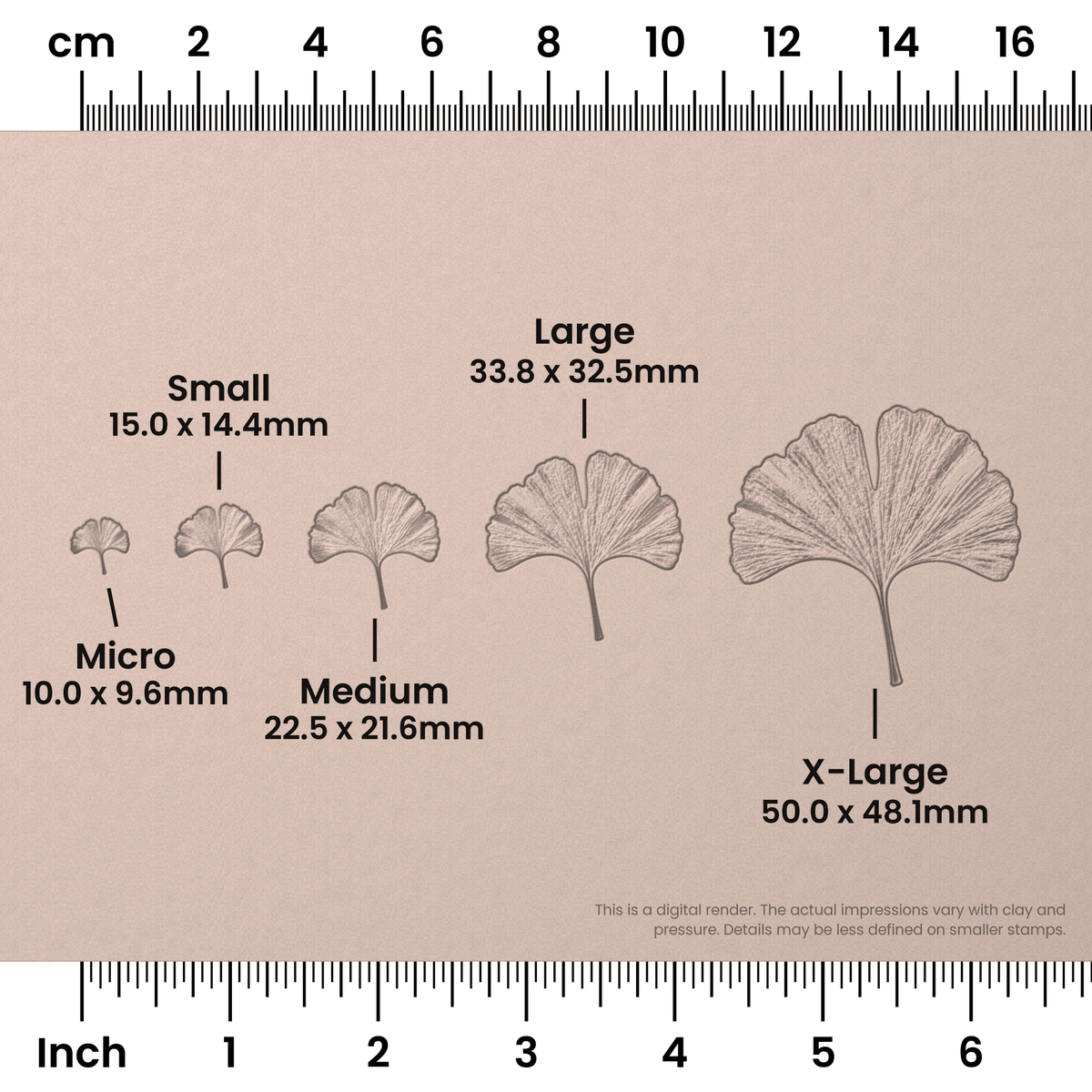 Ginko Leaf Stamps - Photo Textured - Ceramind® Tools