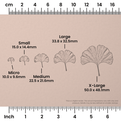 Ginko Leaf Stamps - Photo Textured - Ceramind® Tools