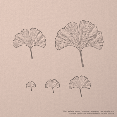Ginko Leaf Stamps - Photo Textured - Ceramind® Tools