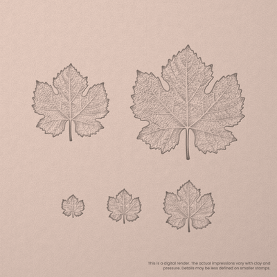 Grape Vine Leaf Stamps - Photo Textured - Ceramind® Tools