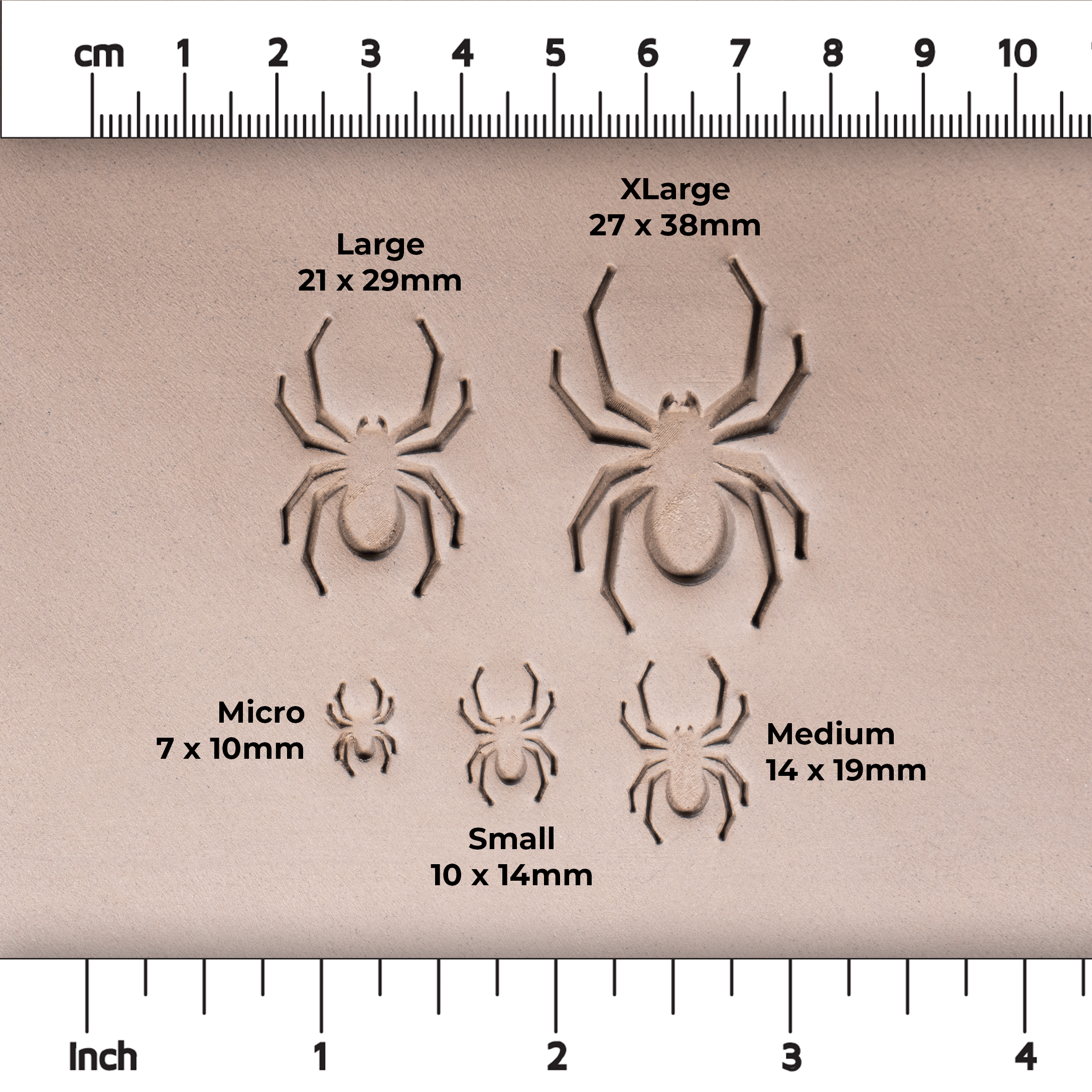 Halloween Spider Stamps - Ceramind® Tools