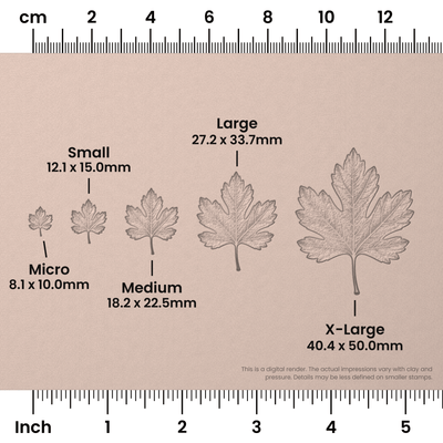 Hawthorn Leaf Stamps - Photo Textured - Ceramind® Tools