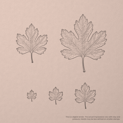 Hawthorn Leaf Stamps - Photo Textured - Ceramind® Tools