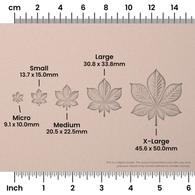 Horse Chestnut Leaf Stamps - Photo Textured - Ceramind® Tools