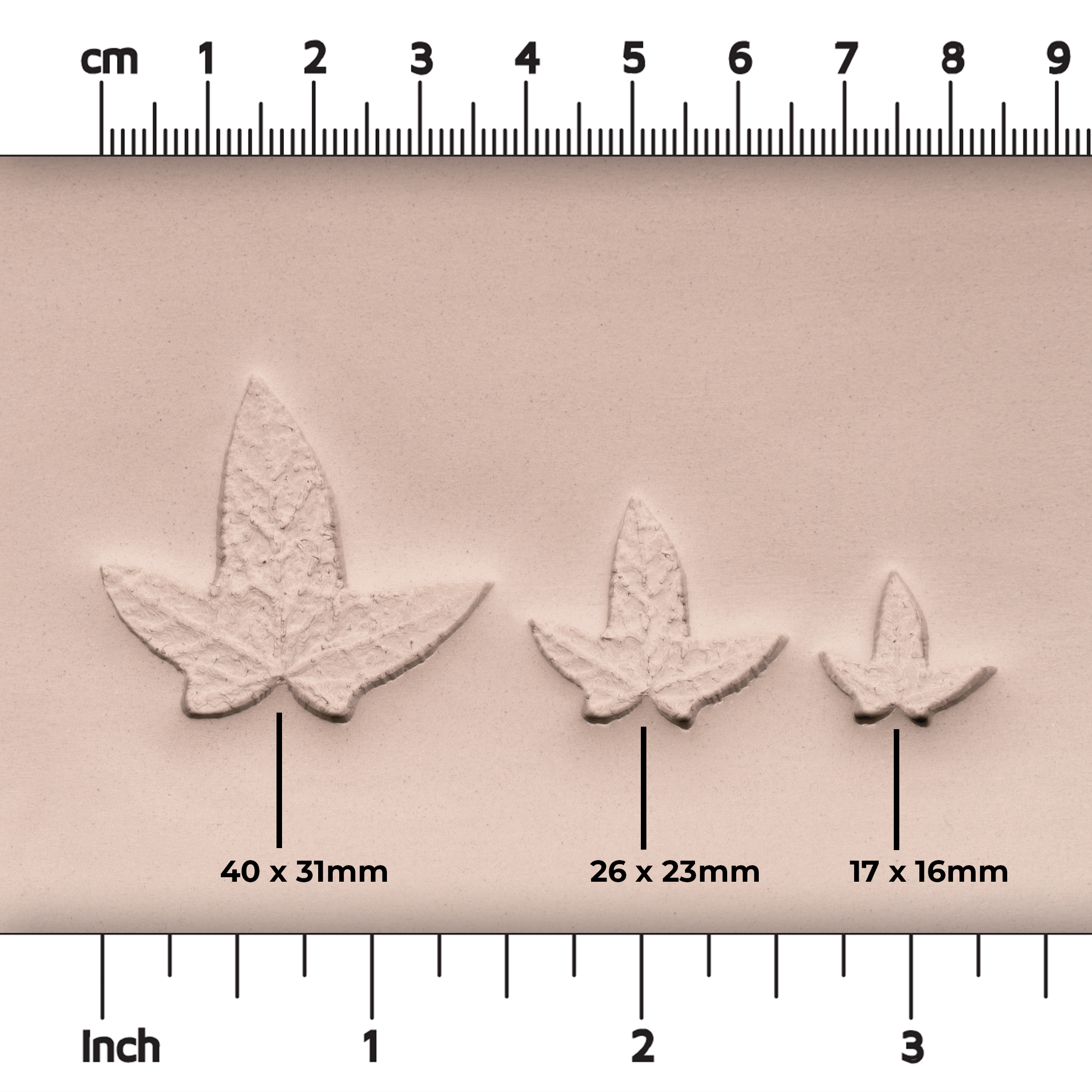 Ivy Leaf Stamp - Photo Textured - Style 1 - Ceramind® Tools