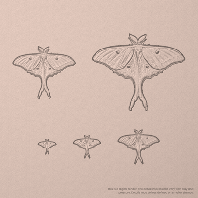 Luna Moth Stamps - Photo Textured - Ceramind® Tools