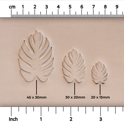 Monstera Leaf Stamps - 3 Styles & Sizes - Ceramind® Tools