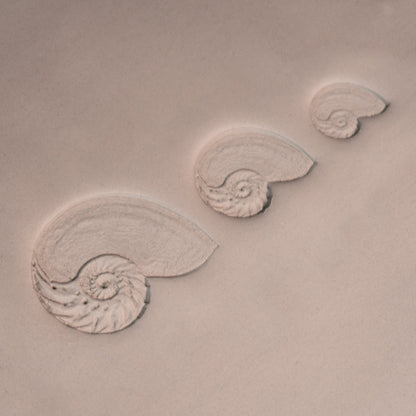 Nautilus Shell Stamp - Photo Textured - Style 1 - Ceramind® Tools