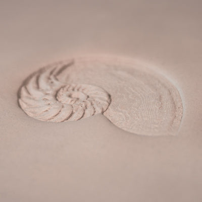 Nautilussnäckstämpel - Fototexturerad - Stil 1 - Ceramind® Tools