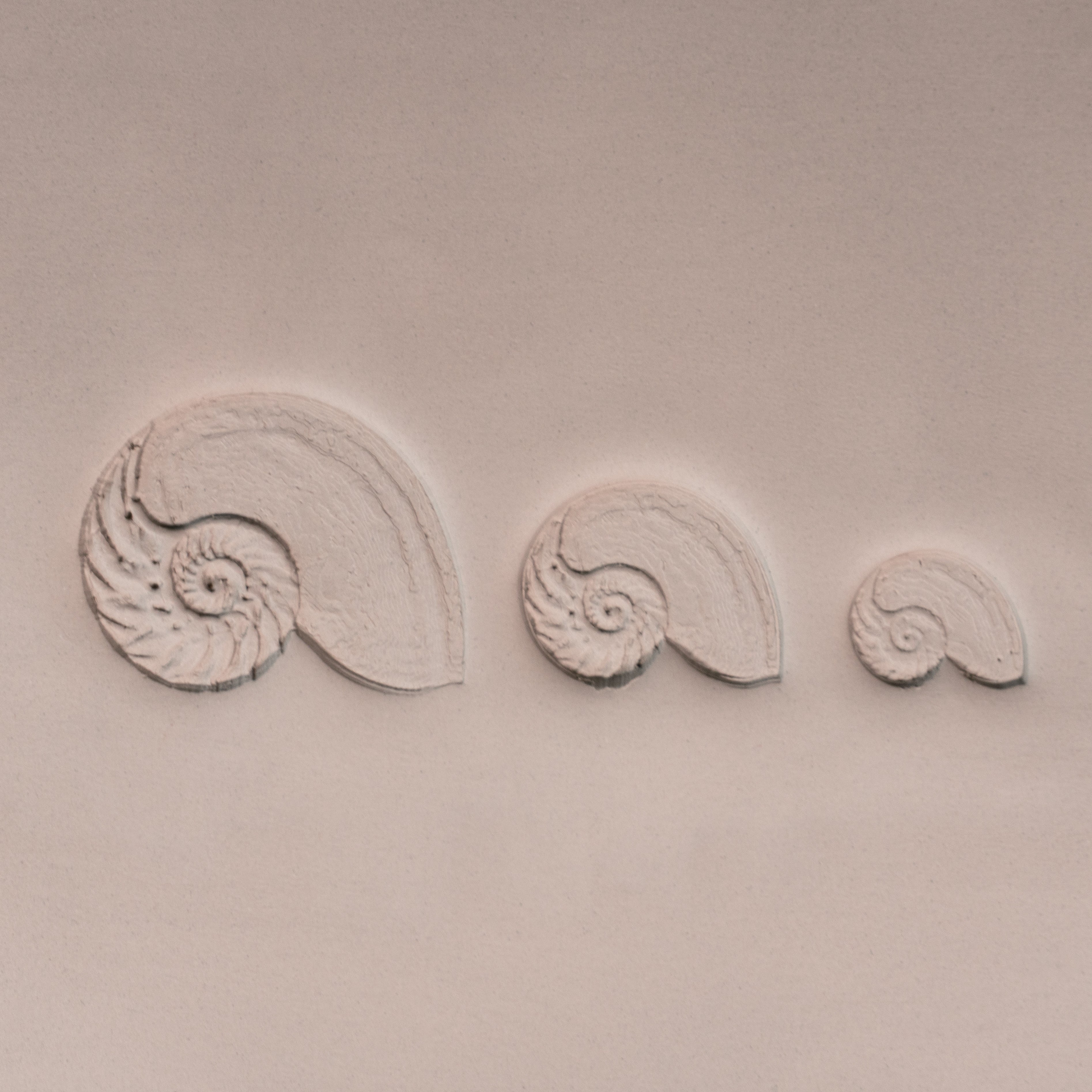 Nautilus Shell Stamp - Photo Textured - Style 1 - Ceramind® Tools