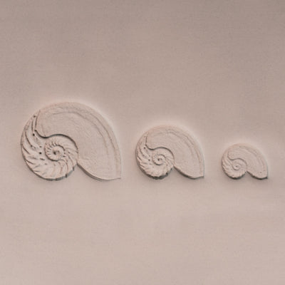 Nautilussnäckstämpel - Fototexturerad - Stil 1 - Ceramind® Tools
