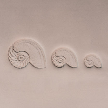 Nautilus Shell Stamp - Photo Textured - Style 1 - Ceramind® Tools