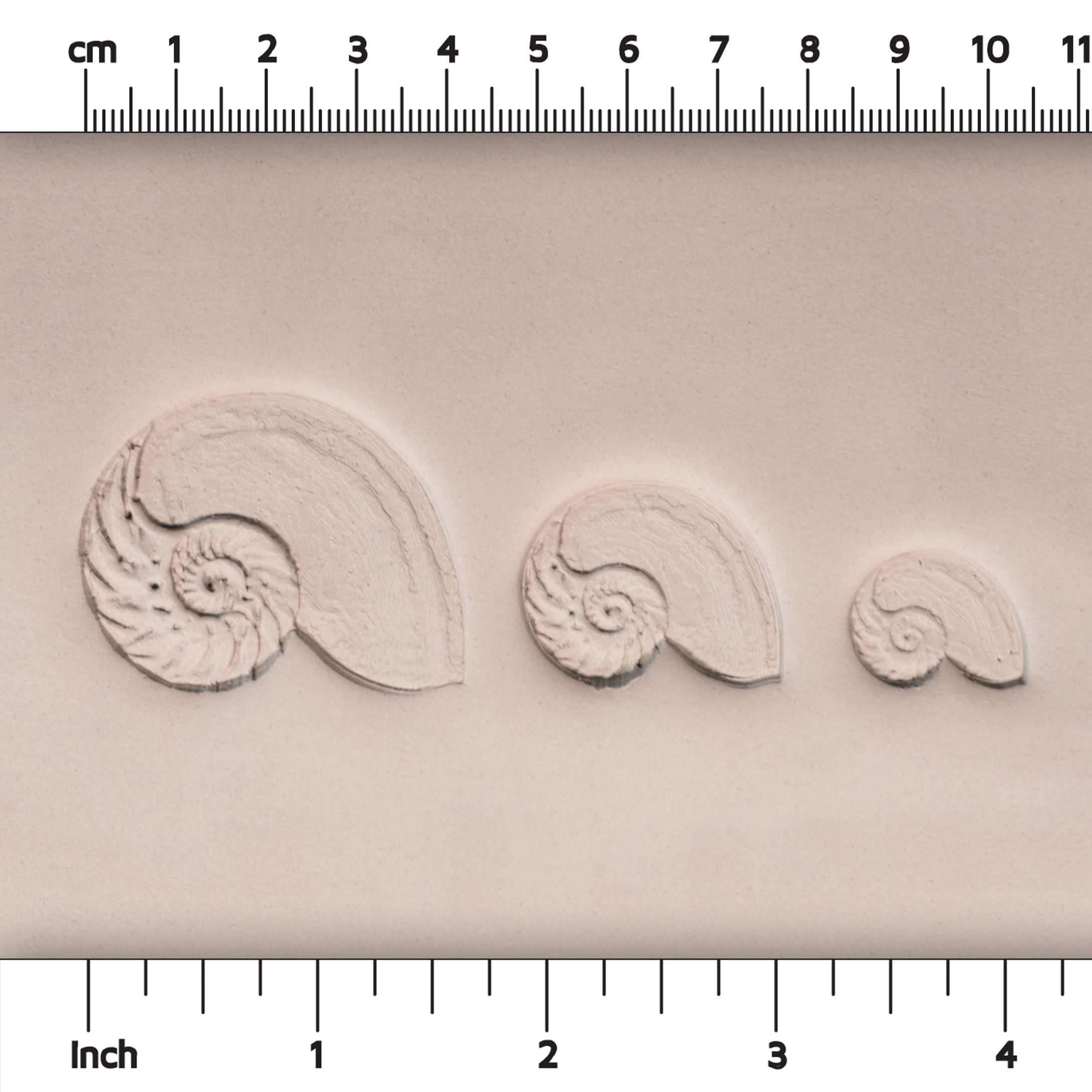Nautilus Shell Stamp - Photo Textured - Style 1 - Ceramind® Tools