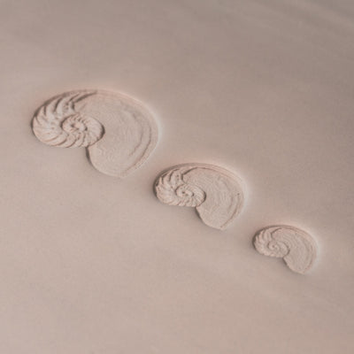 Nautilussnäckstämpel - Fototexturerad - Stil 1 - Ceramind® Tools