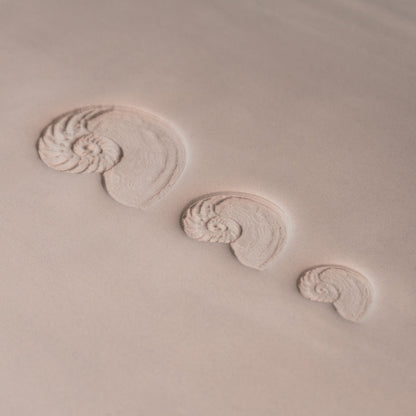 Nautilus Shell Stamp - Photo Textured - Style 1 - Ceramind® Tools