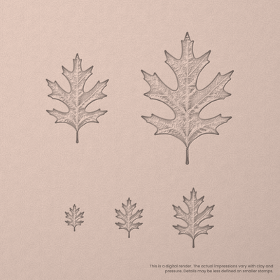 Pin Oak Leaf Stamps - Photo Textured - Ceramind® Tools