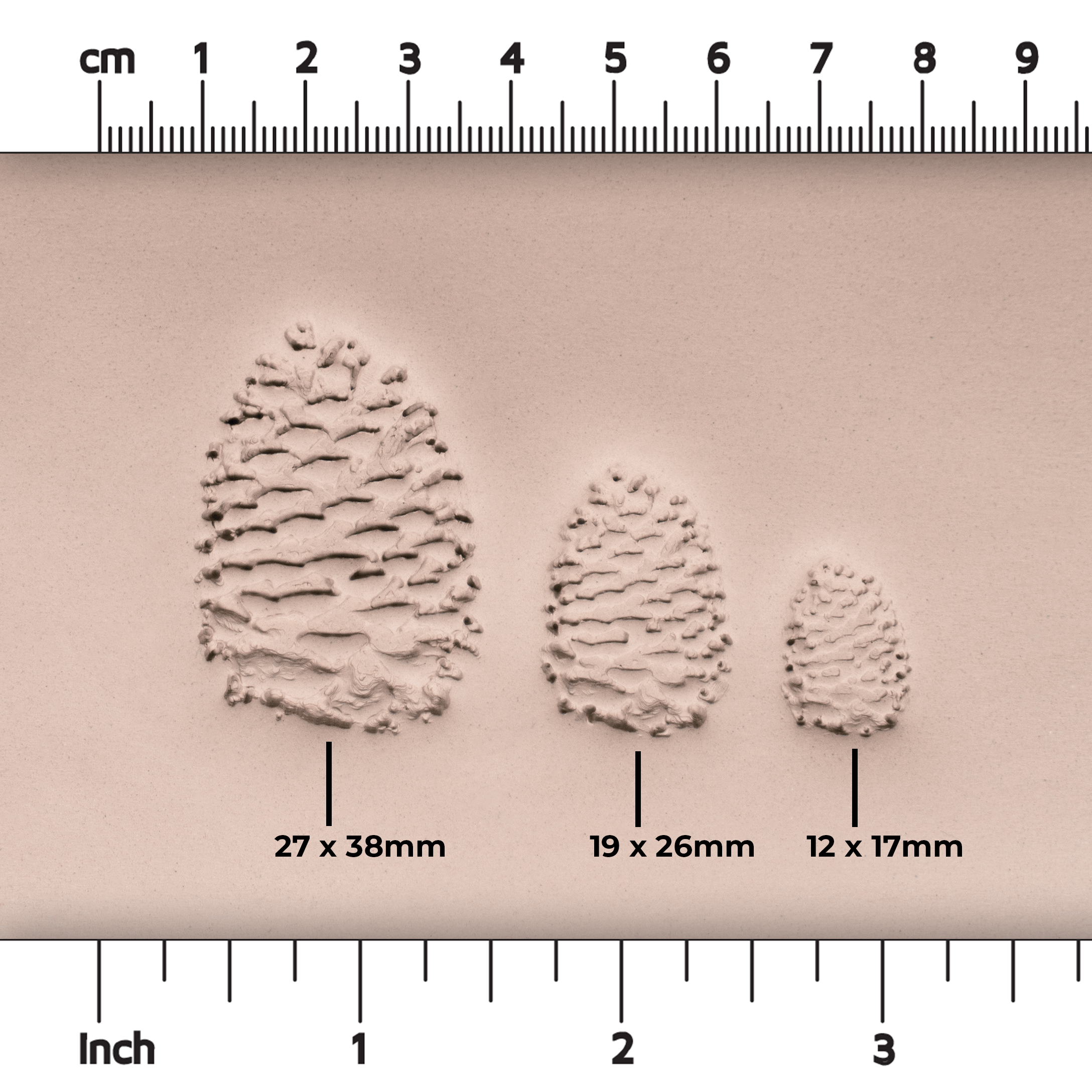 Pinecone Stamp - Photo Textured - Style 1 - Ceramind® Tools