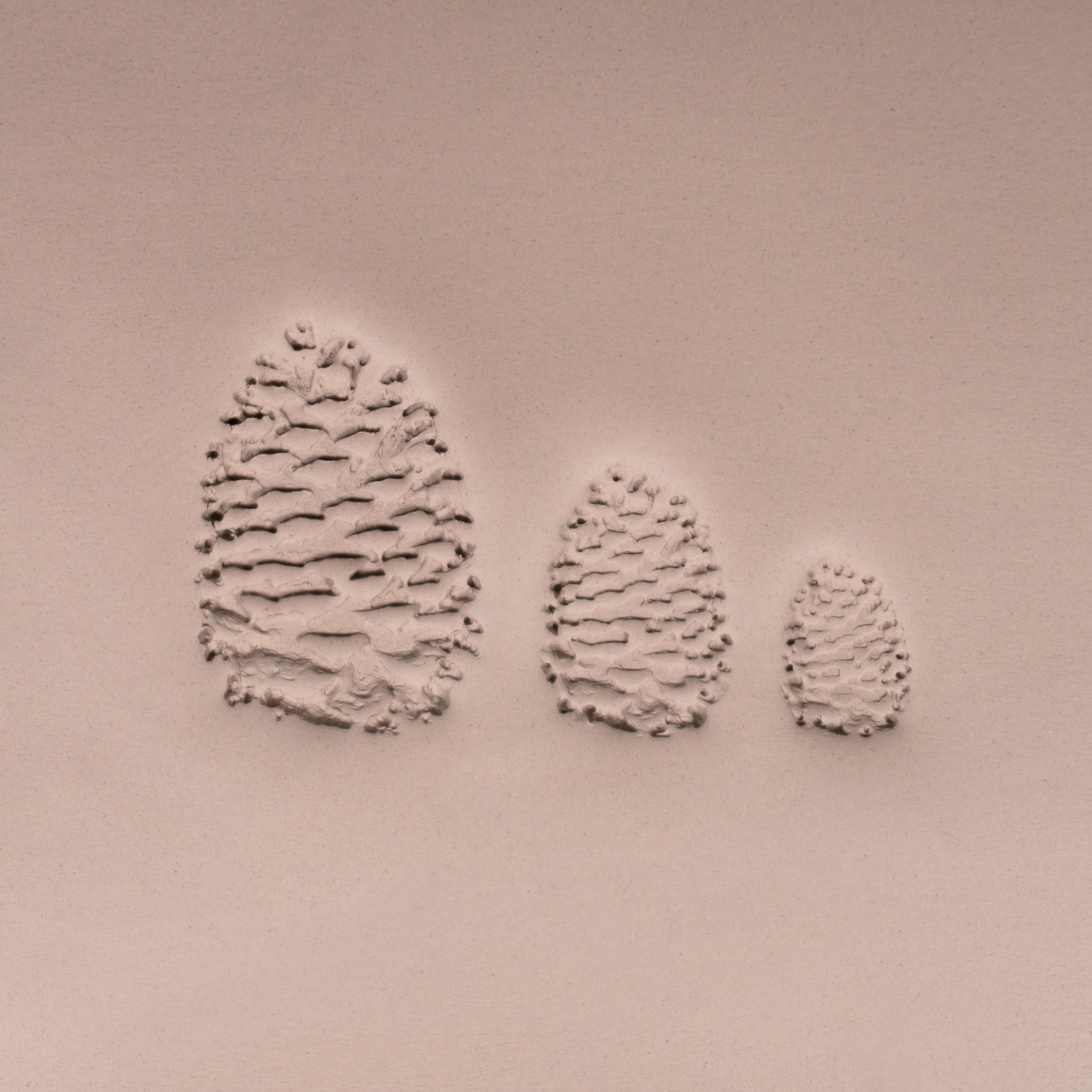 Pinecone Stamp - Photo Textured - Style 1 - Ceramind® Tools