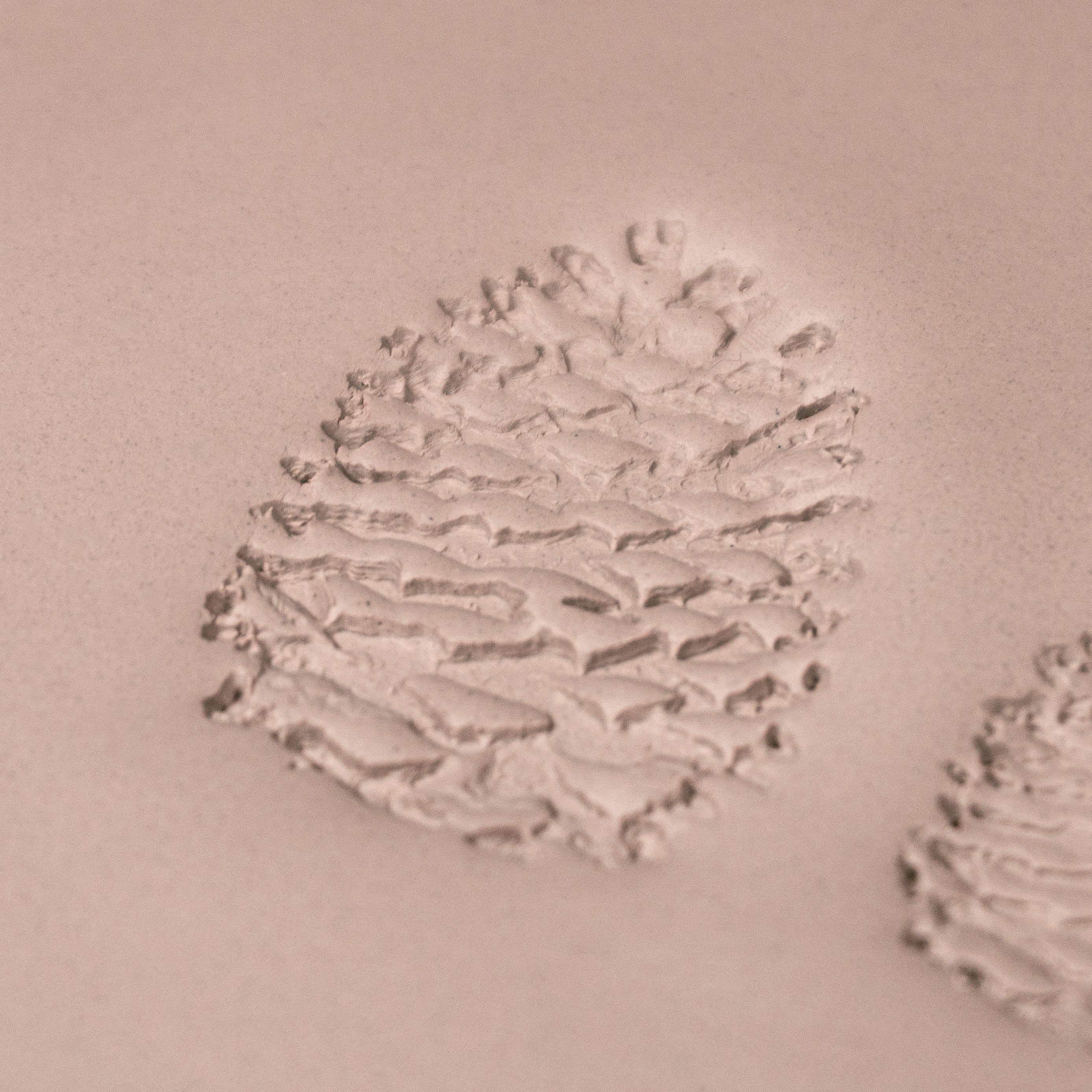 Pinecone Stamp - Photo Textured - Style 1 - Ceramind® Tools
