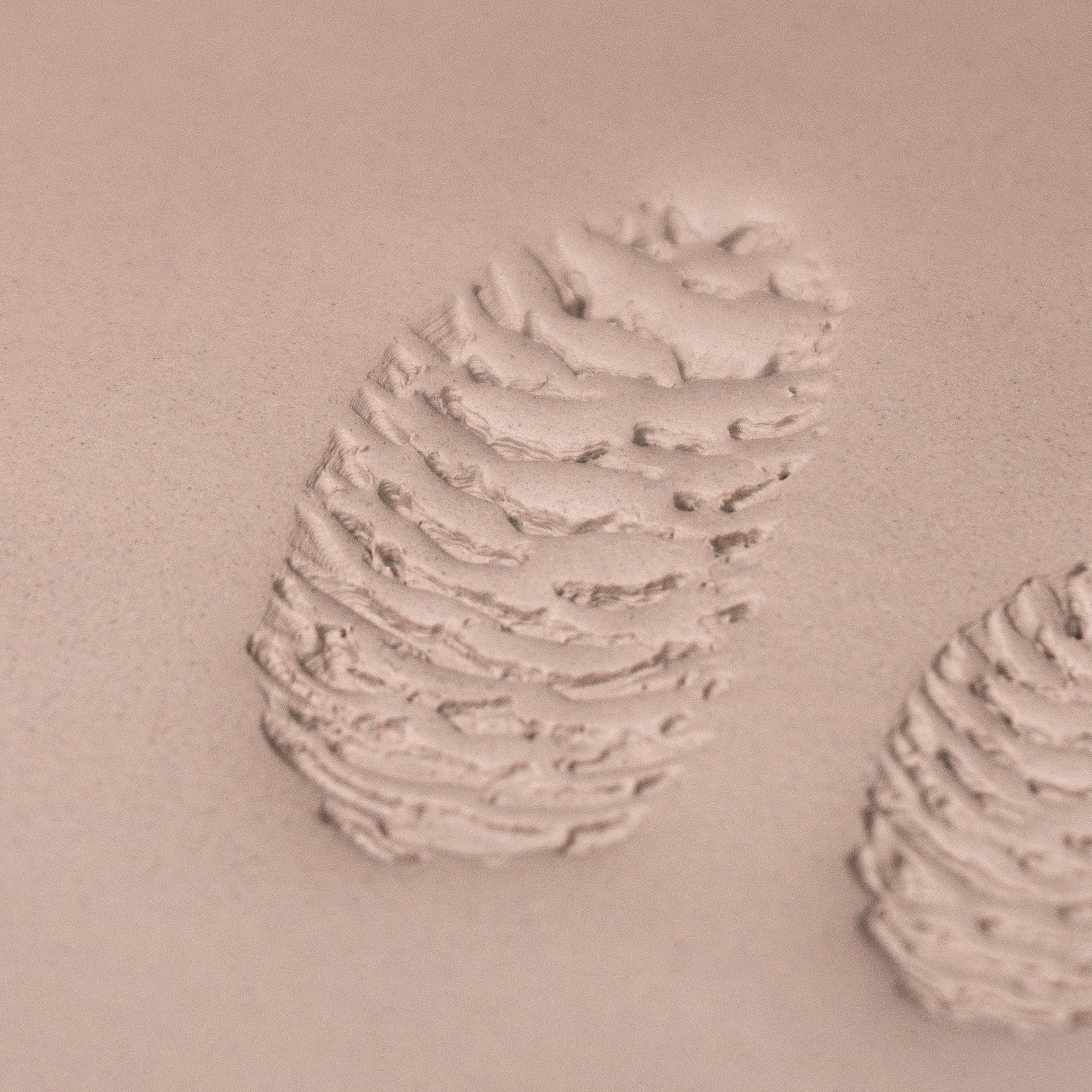 Pinecone Stamp - Photo Textured - Style 2 - Ceramind® Tools