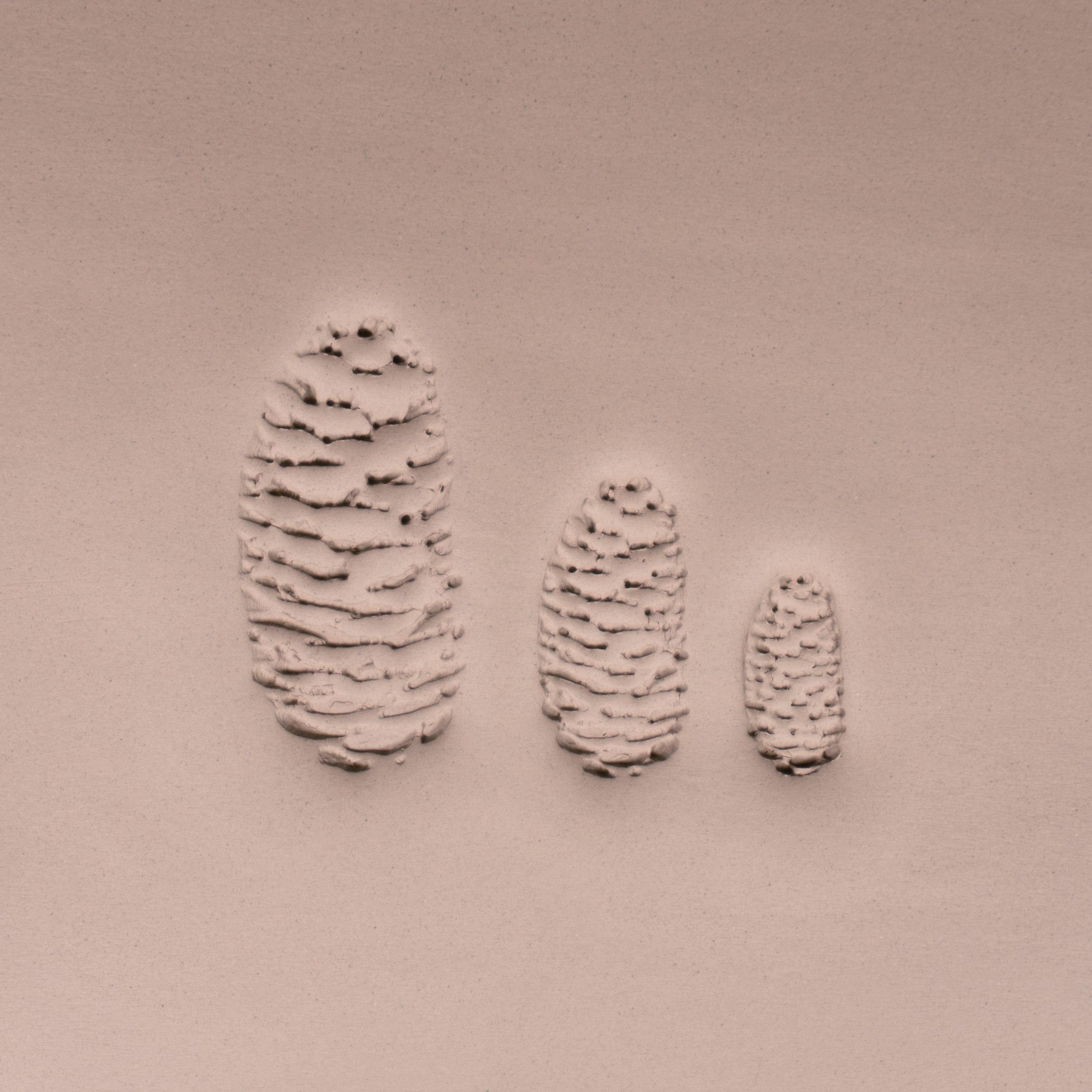 Pinecone Stamp - Photo Textured - Style 2 - Ceramind® Tools