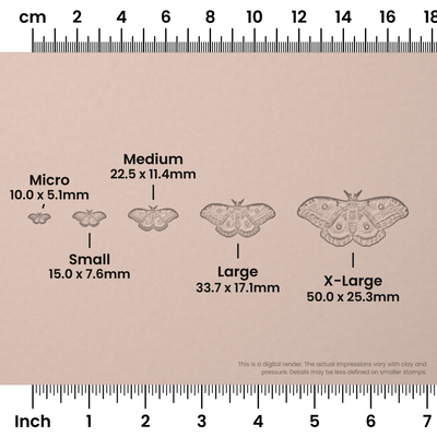Polyphemus Moth Stamps - Photo Textured - Ceramind® Tools