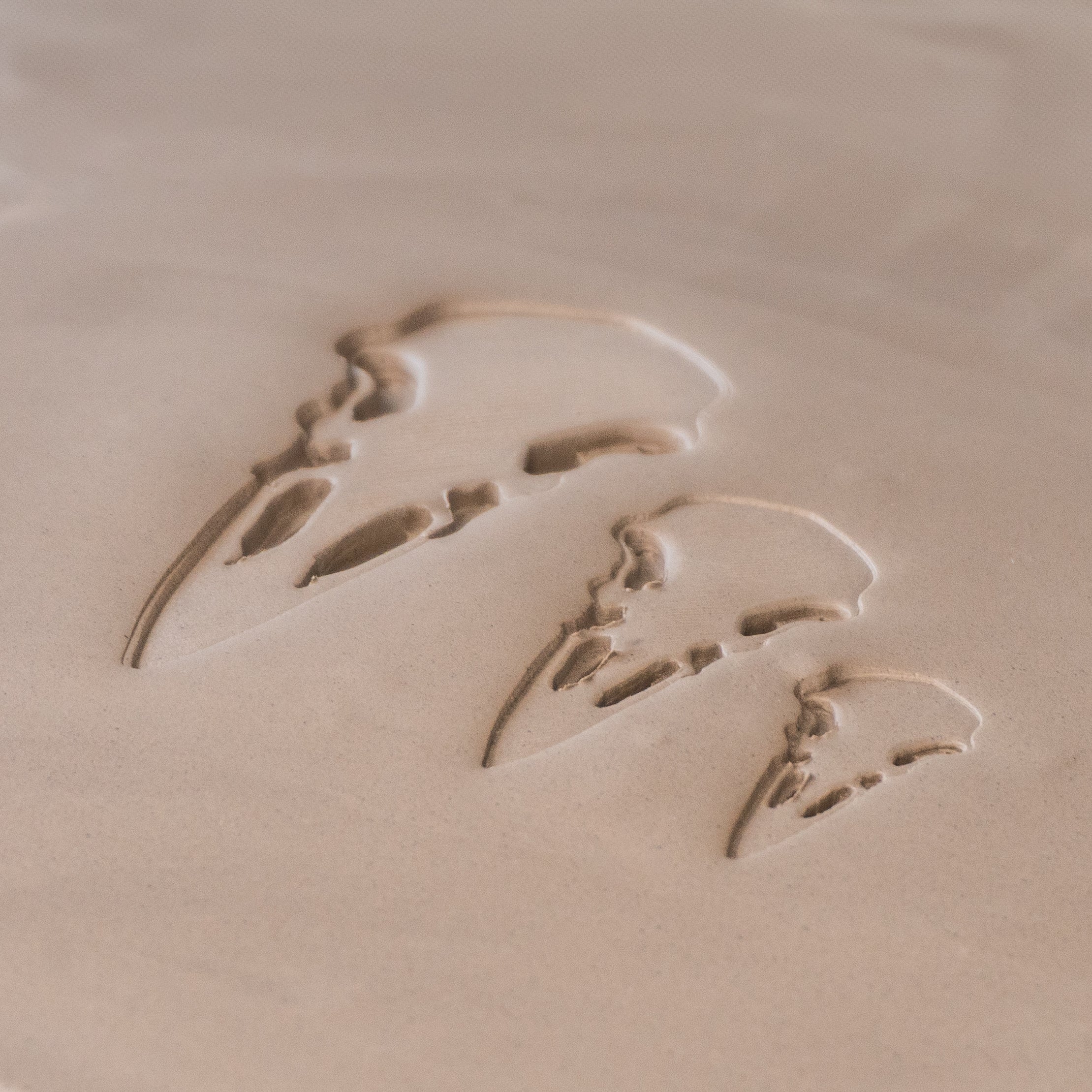 Raven Skull Stamps - Ceramind® Tools