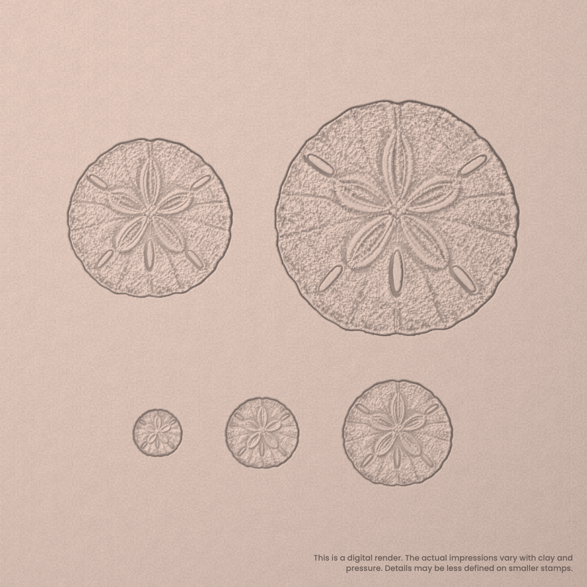 Sand Dollar Stamps - Photo Textured - Ceramind® Tools