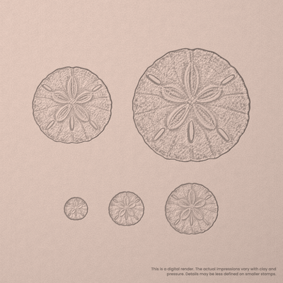 Sand Dollar Stamps - Photo Textured - Ceramind® Tools