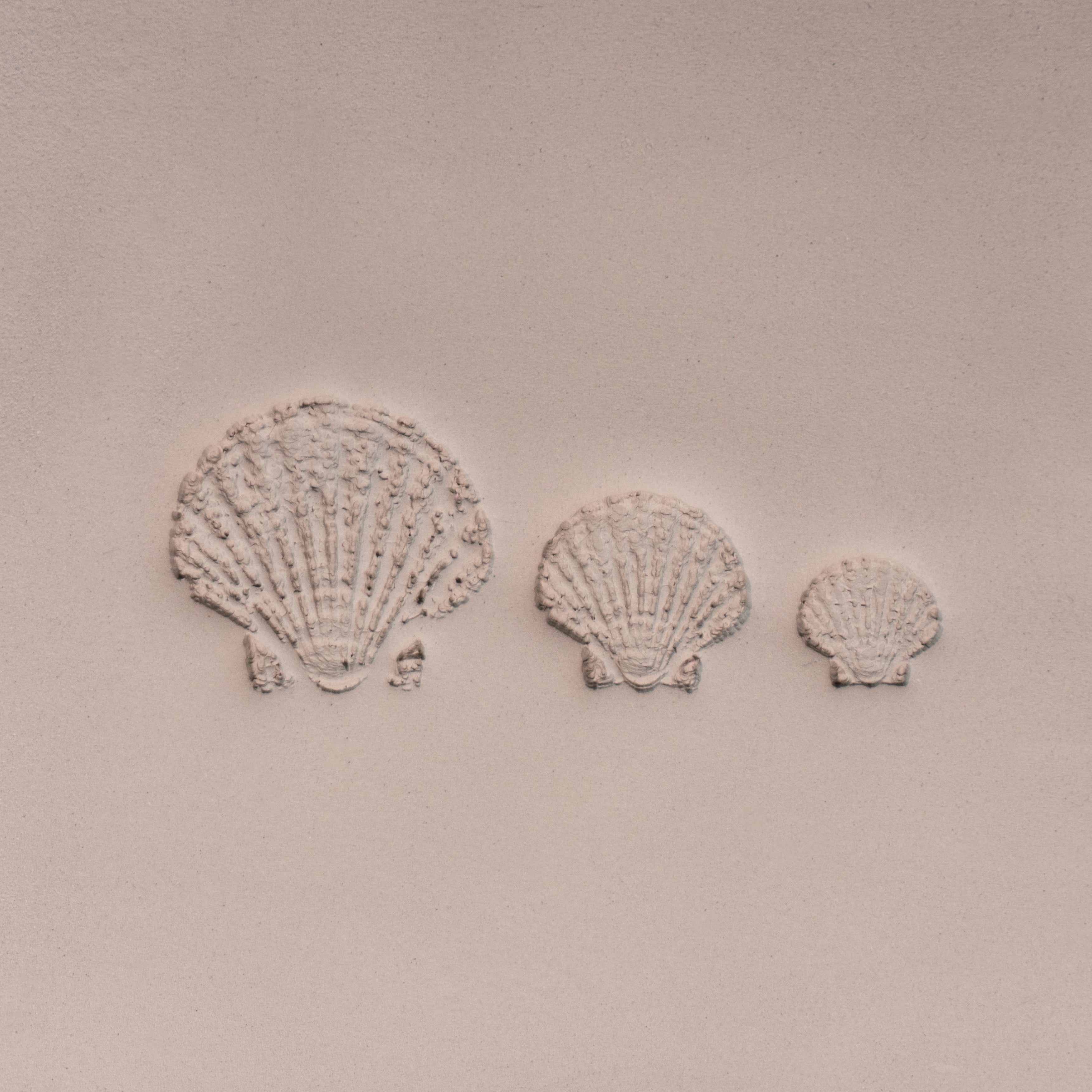 Scallop Shell Stamp - Photo Textured - Style 1 - Ceramind® Tools