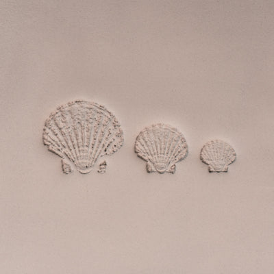 Scallop Shell Stamp - Photo Textured - Style 1 - Ceramind® Tools