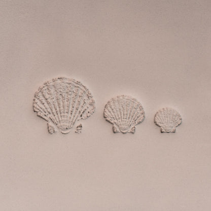 Scallop Shell Stamp - Photo Textured - Style 1 - Ceramind® Tools