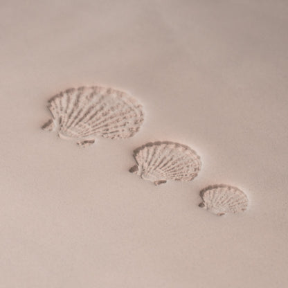 Scallop Shell Stamp - Photo Textured - Style 1 - Ceramind® Tools