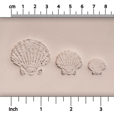 Scallop Shell Stamp - Photo Textured - Style 1 - Ceramind® Tools