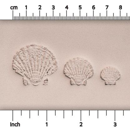 Scallop Shell Stamp - Photo Textured - Style 1 - Ceramind® Tools
