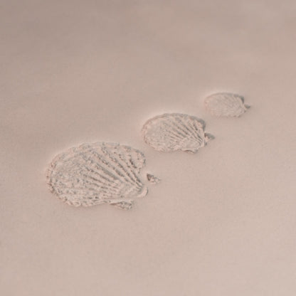 Scallop Shell Stamp - Photo Textured - Style 1 - Ceramind® Tools