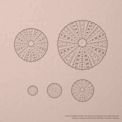 Sea Urchin Stamps - Photo Textured - Ceramind® Tools