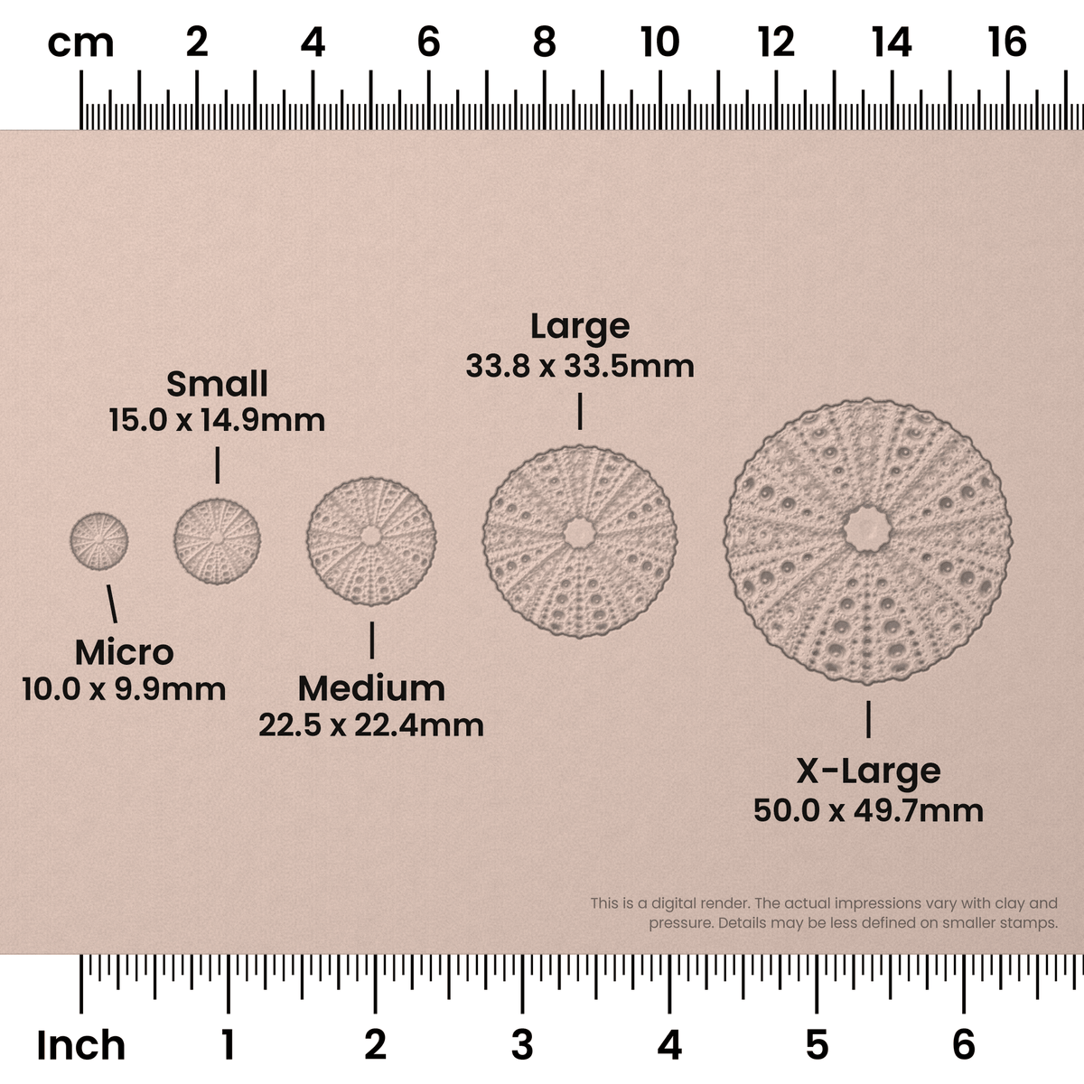 Sea Urchin Stamps - Photo Textured - Ceramind® Tools