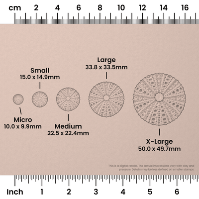 Sea Urchin Stamps - Photo Textured - Ceramind® Tools