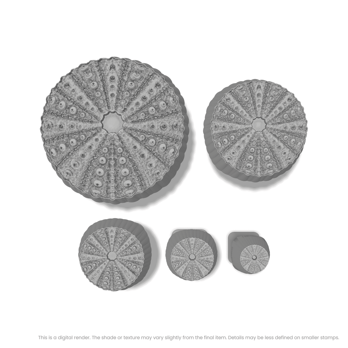 Sea Urchin Stamps - Photo Textured - Ceramind® Tools