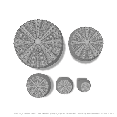 Sea Urchin Stamps - Photo Textured - Ceramind® Tools