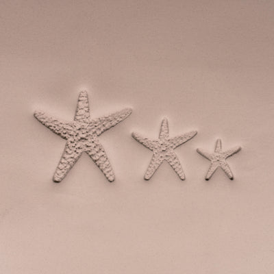 Starfish Stamp - Photo Textured - Style 1 - Ceramind® Tools