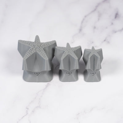 Starfish Stamp - Photo Textured - Style 1 - Ceramind® Tools