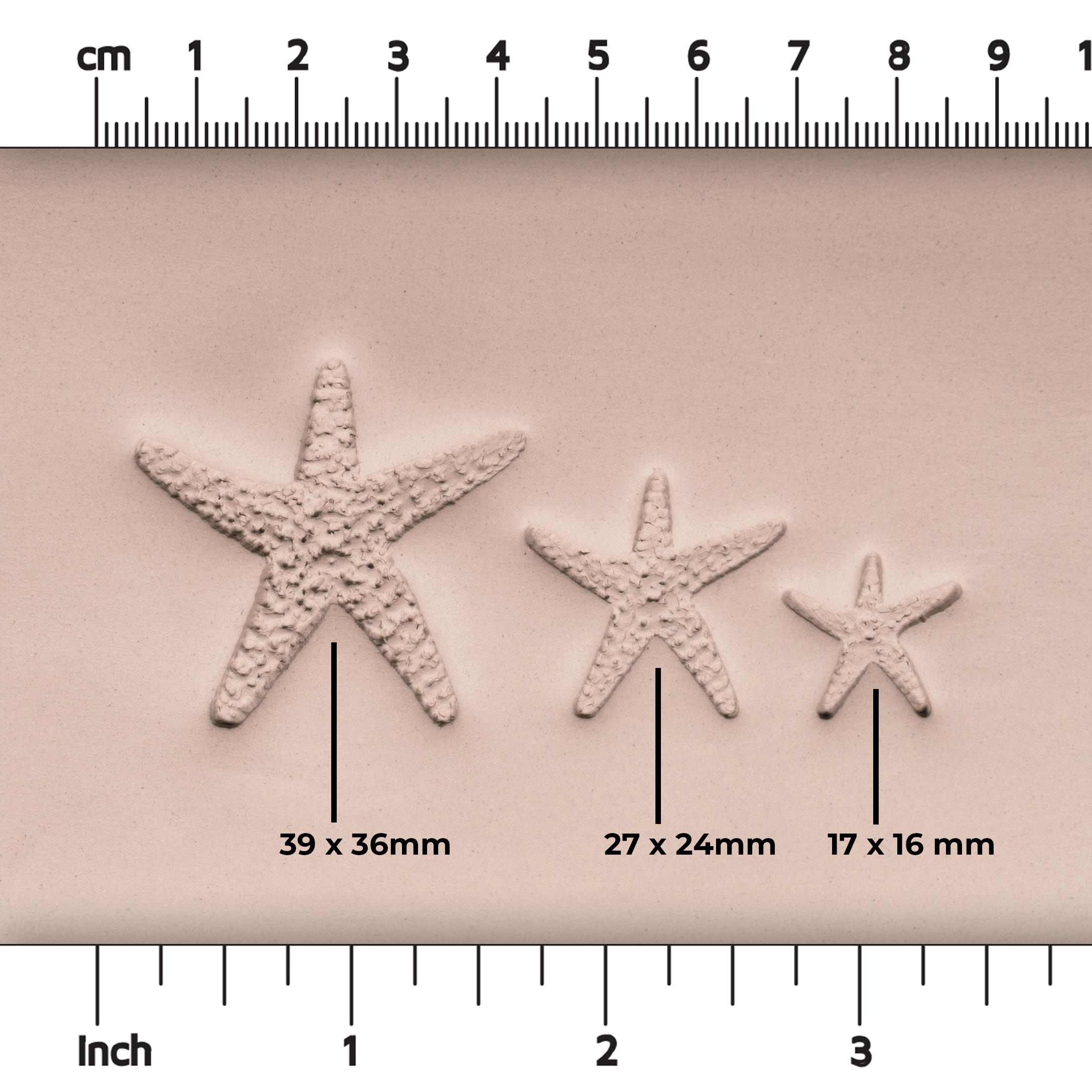 Starfish Stamp - Photo Textured - Style 1 - Ceramind® Tools