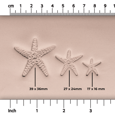 Starfish Stamp - Photo Textured - Style 1 - Ceramind® Tools