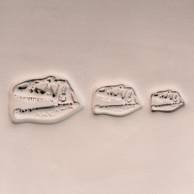 T - Rex Dinosauriekraniefossilstämpel - Fototexturerad - Stil 1 - Ceramind® Tools