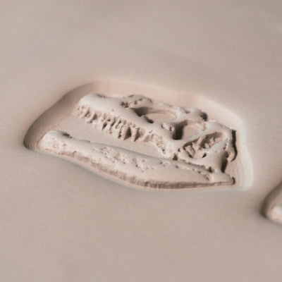 T - Rex Dinosauriekraniefossilstämpel - Fototexturerad - Stil 1 - Ceramind® Tools
