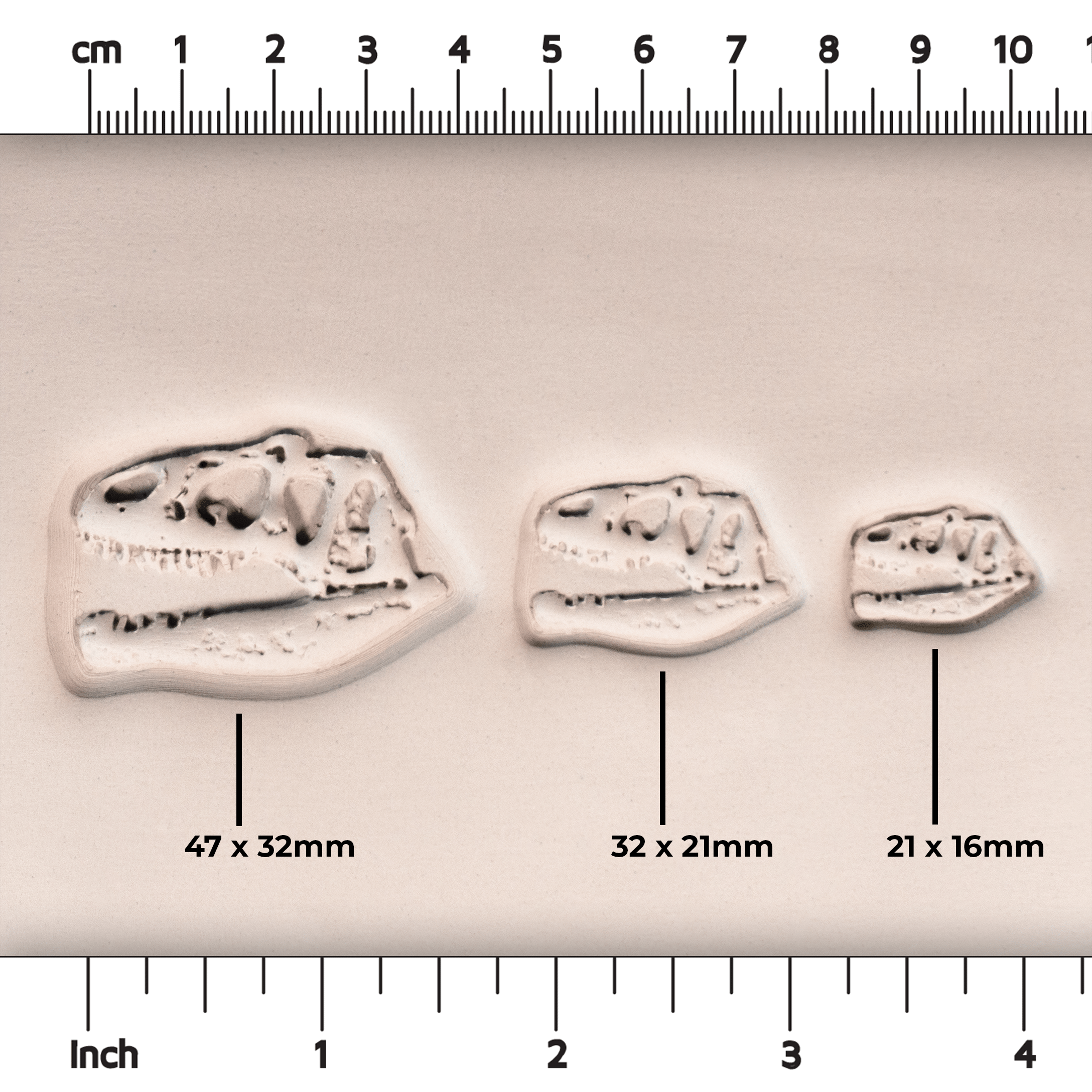 T - Rex Dinosaur Skull Fossil Stamp - Photo Textured - Style 1 - Ceramind® Tools