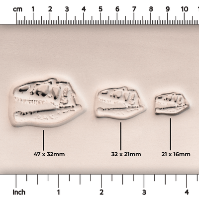 T - Rex Dinosauriekraniefossilstämpel - Fototexturerad - Stil 1 - Ceramind® Tools